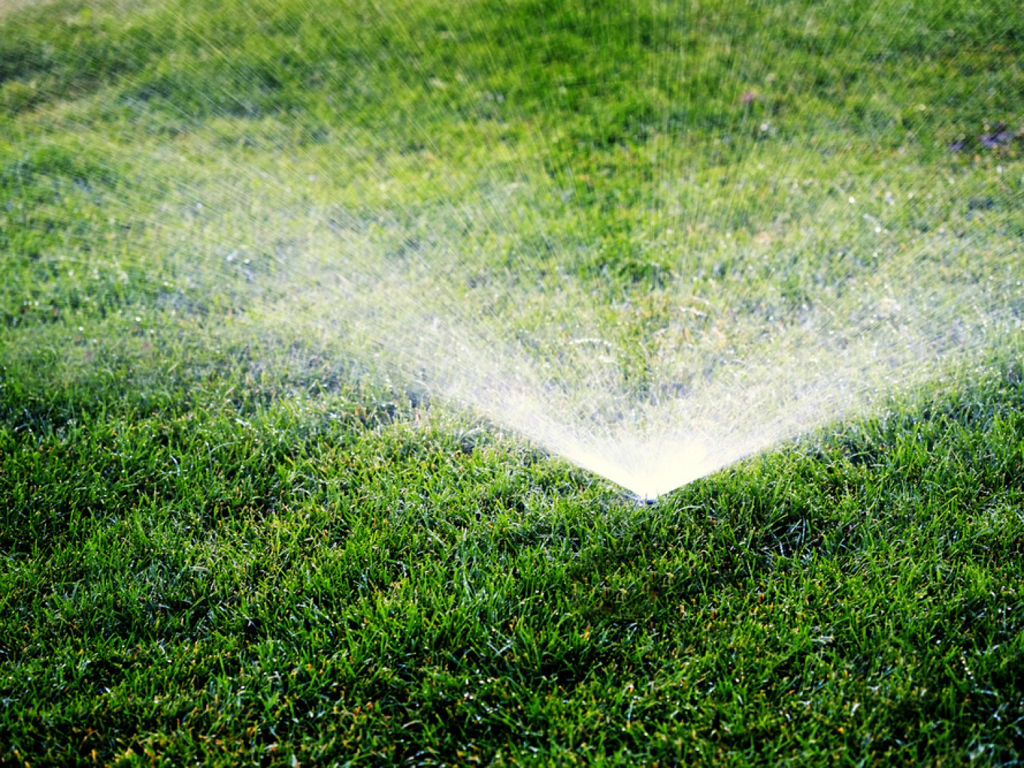 Irrigation Repair Premier Lawn Services